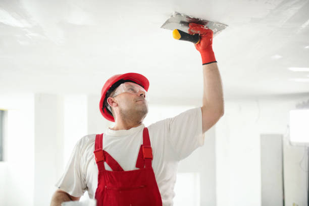 Trusted Shorewood, IL Painting & Drywall Installation Experts